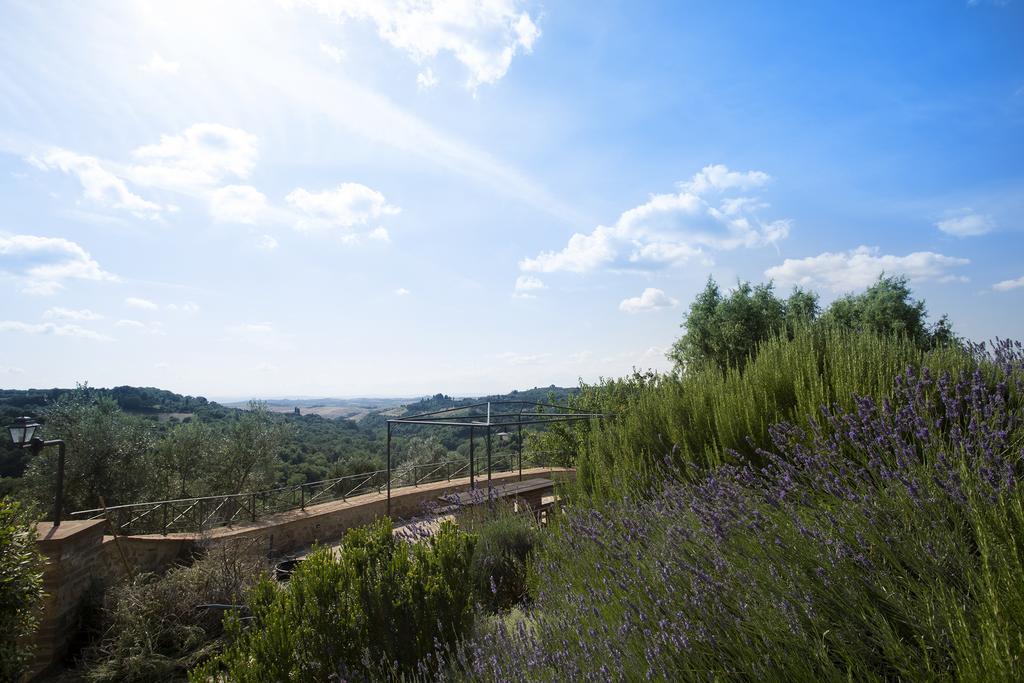 Casa Sandro A Podere Pascianella Villa Castelmuzio Cameră foto